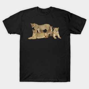 Lion Family - Lion - Lioness - Africa T-Shirt